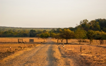 Taman Negara Baluran & Hutan Djawatan