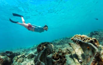 3D2N Banyuwangi シェアリングツアー：島々、森林、Ijen クレーター