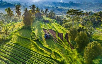 Hướng dẫn du lịch Ubud Bali