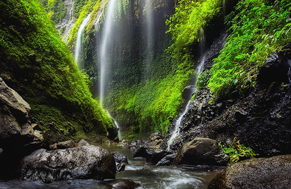 madakaripura 600x390 Madakaripura Waterfall