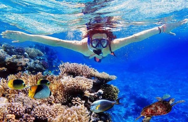 Menjangan Island Diving