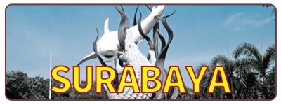 Tour departing from Surabaya
