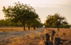 Open Trip Baluran National Park 