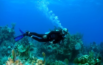 3天2夜 Banyuwangi 共享遊